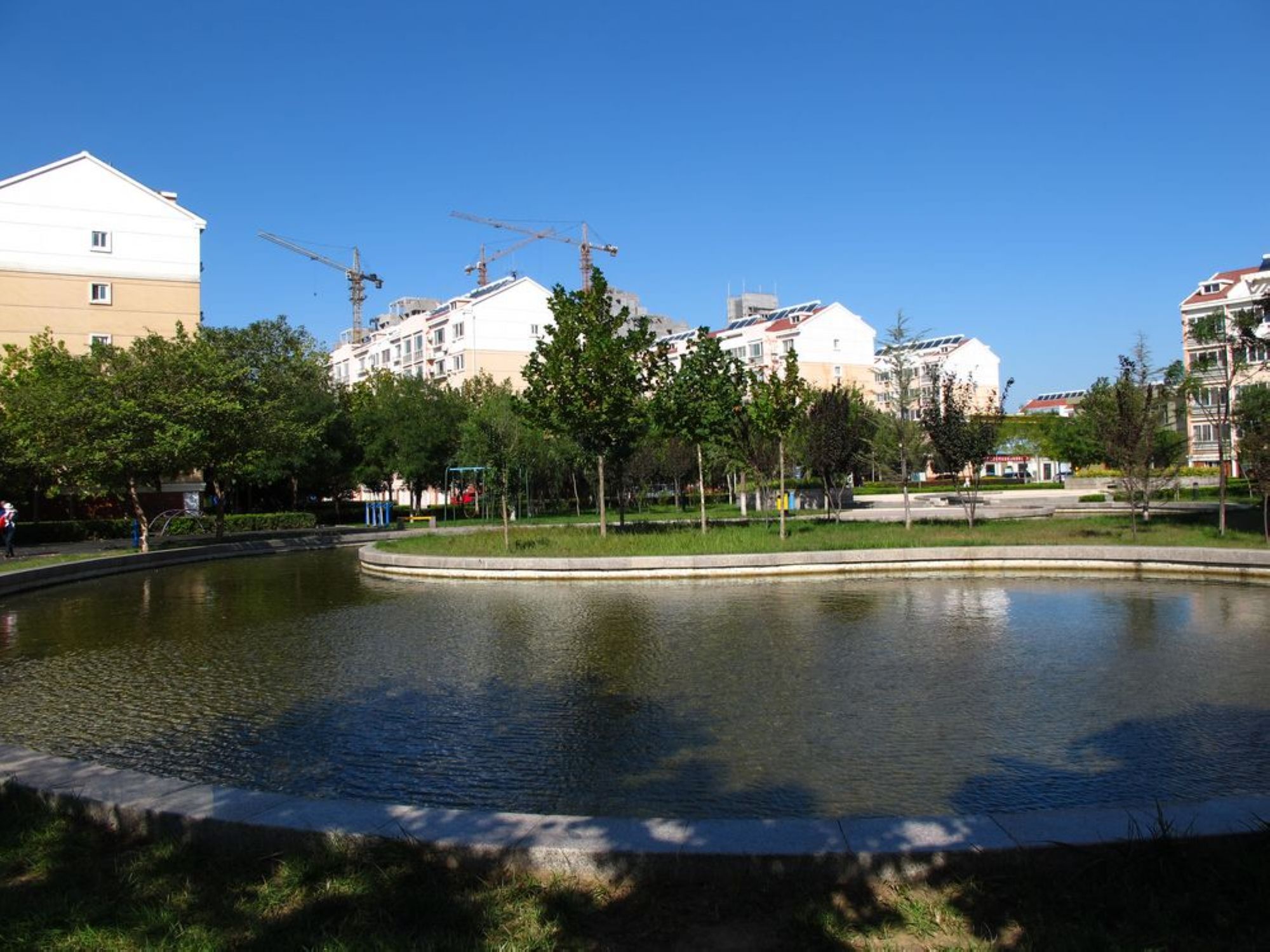 120533rlvjjihdd8za2isv.jpg