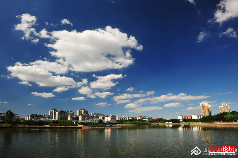 205011bq1qzoo113ris6qs.jpg